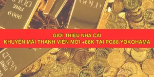 Khuyến mãi thành viên mới pg88